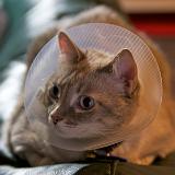 IMG_4958 - Version 2